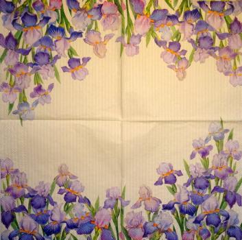 100 Lilien - 3-lagig - Ihr